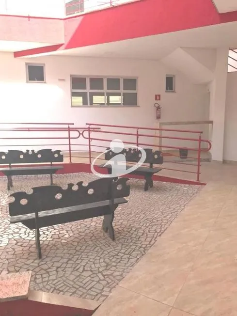 Imagem 7