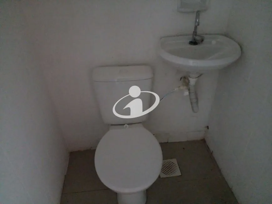 Imagem 3