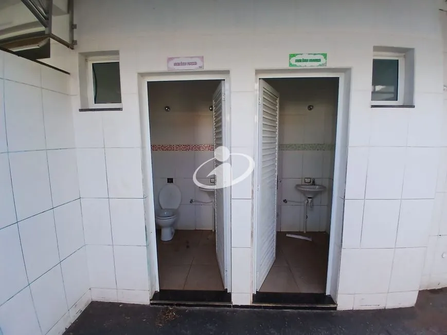 Imagem 11