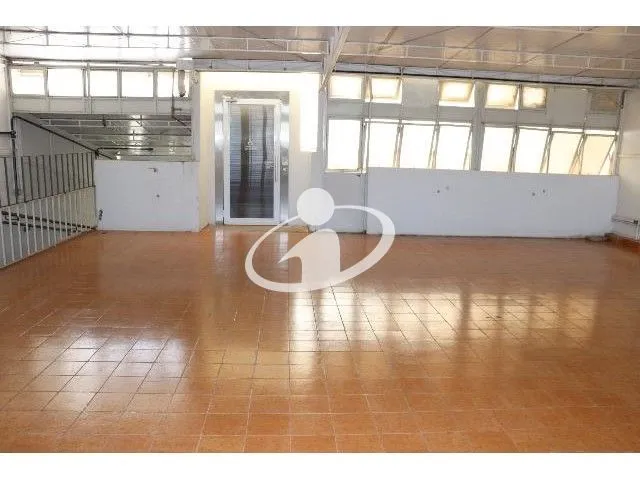 Imagem 8