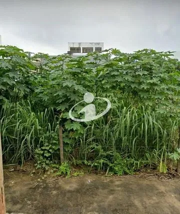 Terreno para vender no Cidade Jardim imagem 1