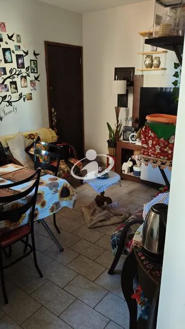 Imagem 6