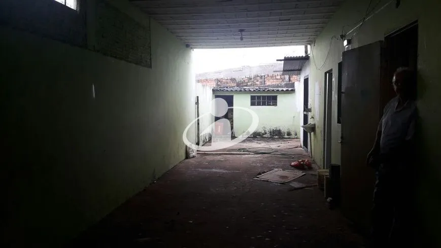 Imagem 3