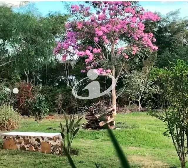 Imagem 6