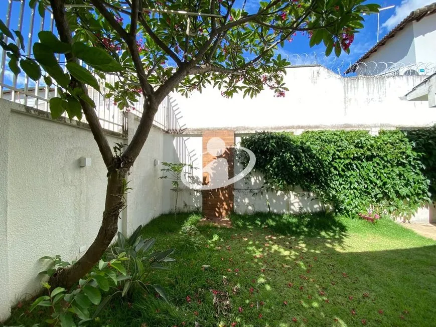 Imagem 3