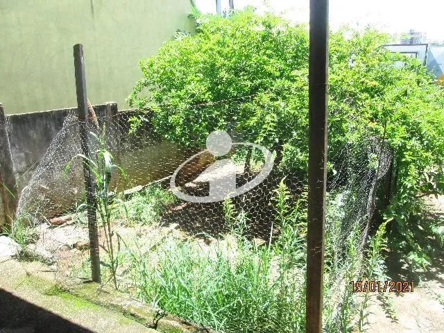 Imagem 3