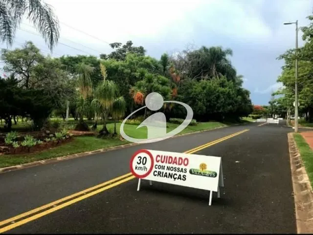 Imagem 7