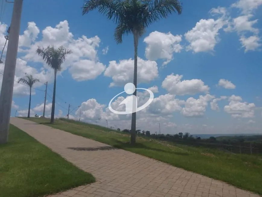 Imagem 6