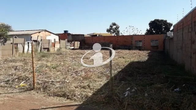 Imagem 6