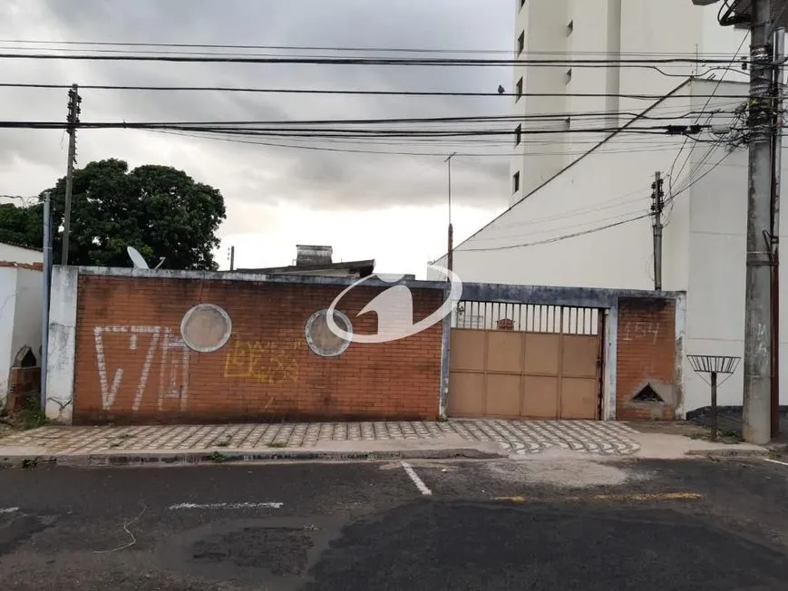 Imagem 3