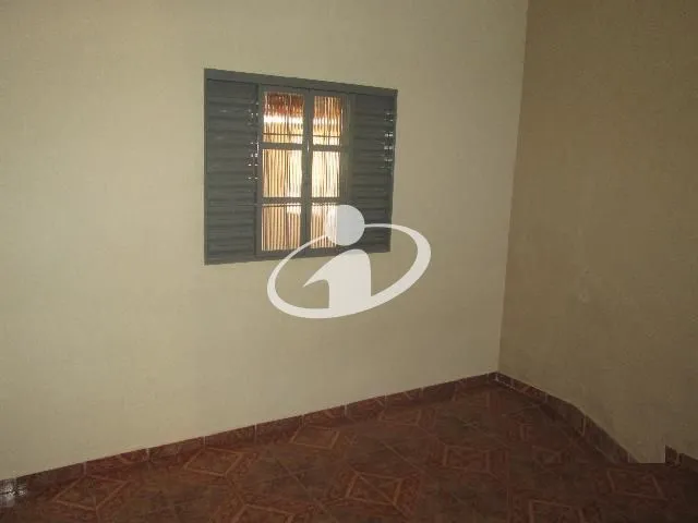 Imagem 11