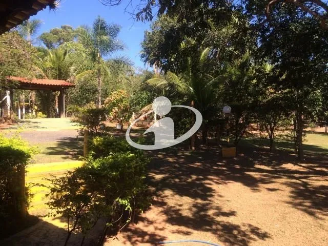 Imagem 36