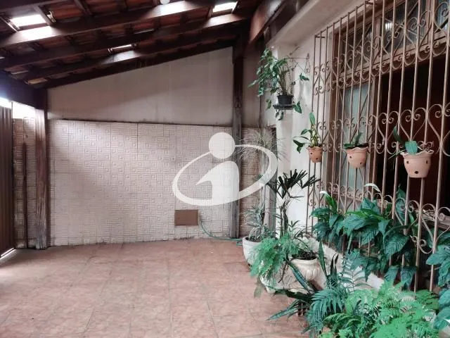 Imagem 5