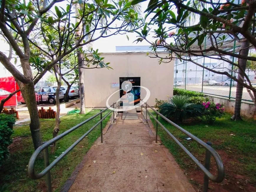 Imagem 23