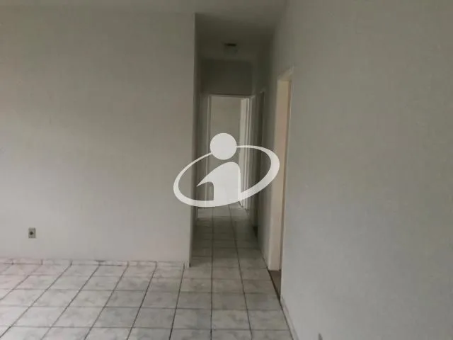 Imagem 15