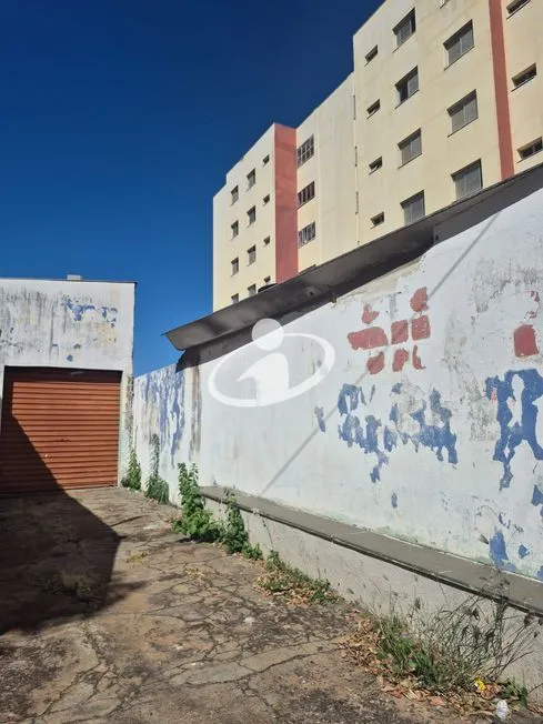 Imagem 15