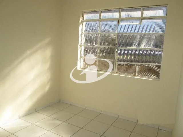 Imagem 7