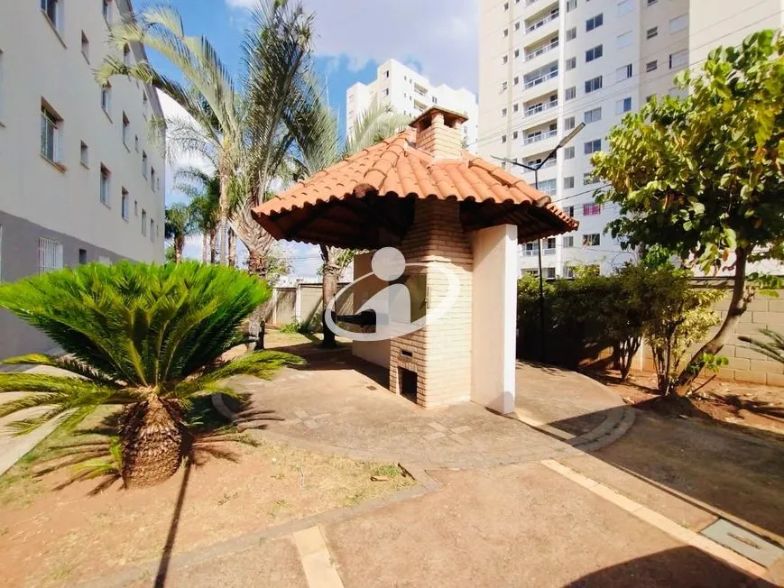 Imagem 24