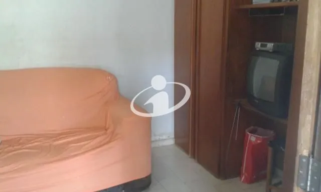 Imagem 7
