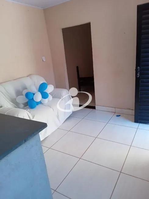 Imagem 6