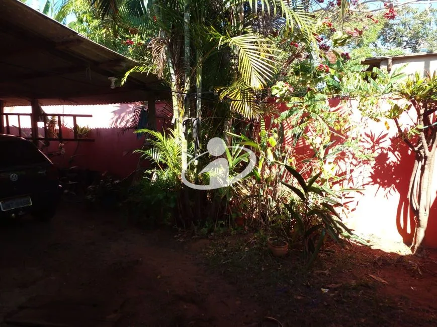 Imagem 3