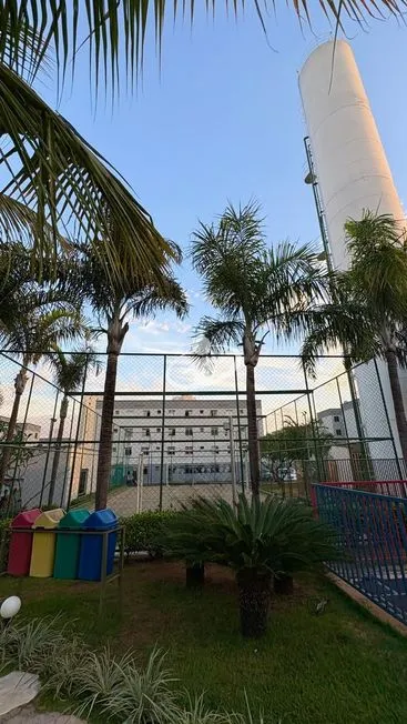 Imagem 8