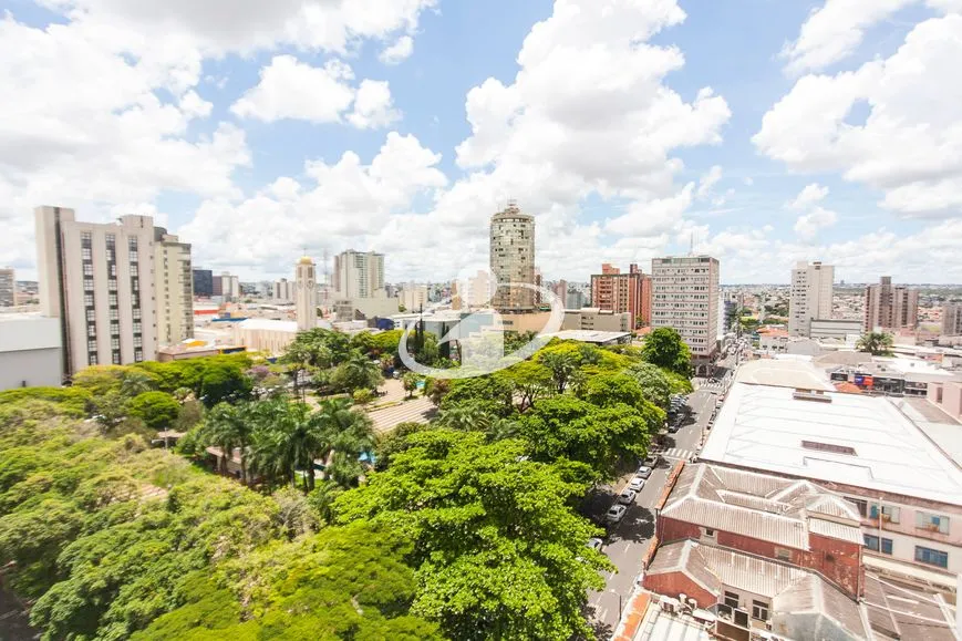 Imagem 11