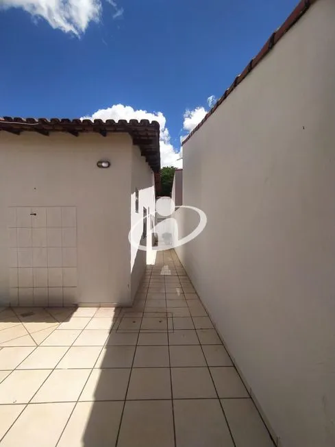 Imagem 15