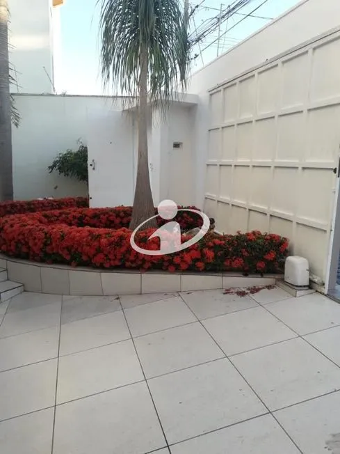 Imagem 20