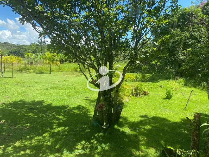 Imagem 12
