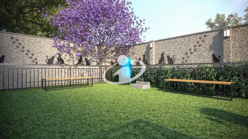 Imagem 3