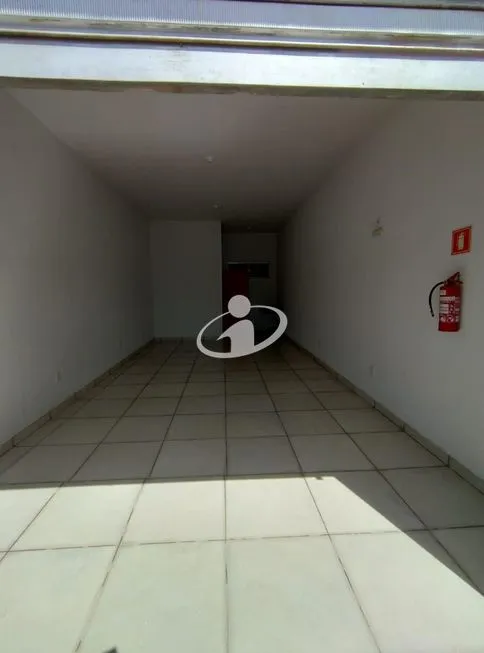 Imagem 5