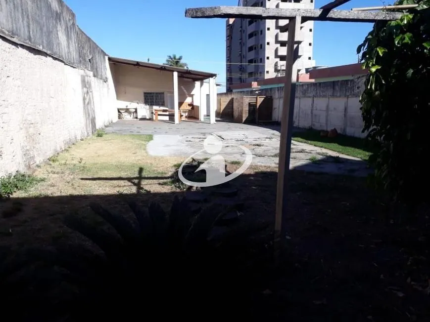 Imagem 8
