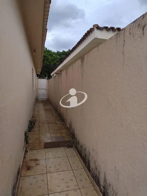 Imagem 18