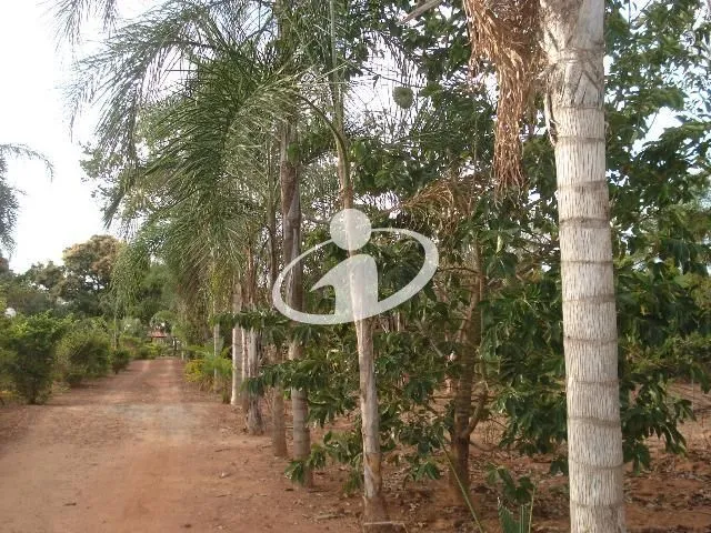 Imagem 3