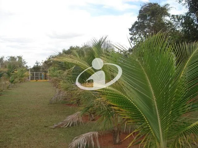 Imagem 4