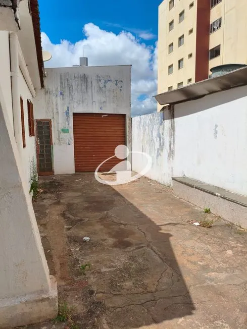 Imagem 14