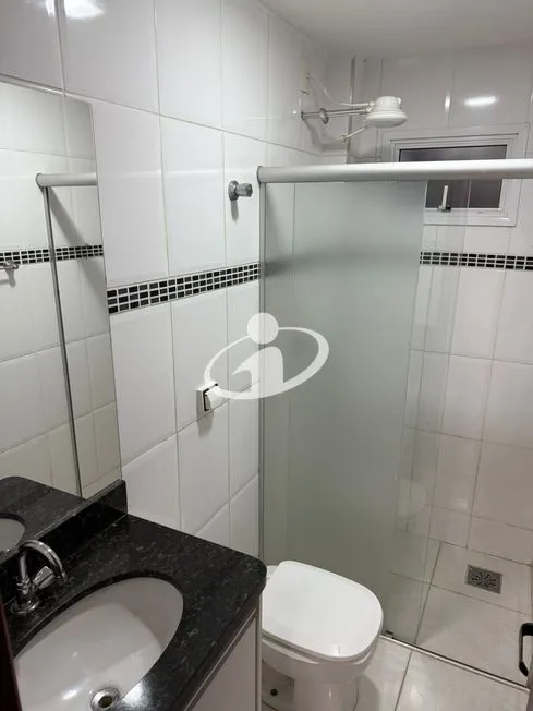 Imagem 11