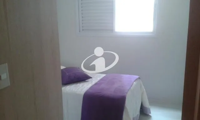 Imagem 8