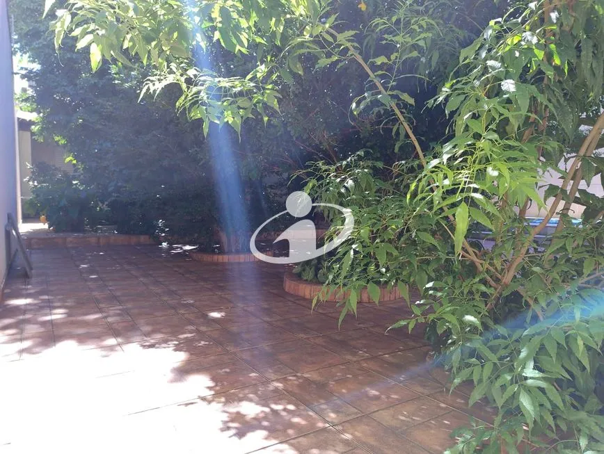 Imagem 6