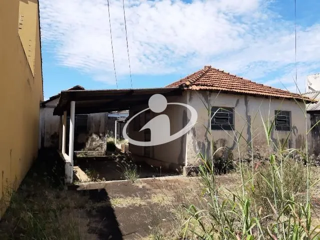 Imagem 4