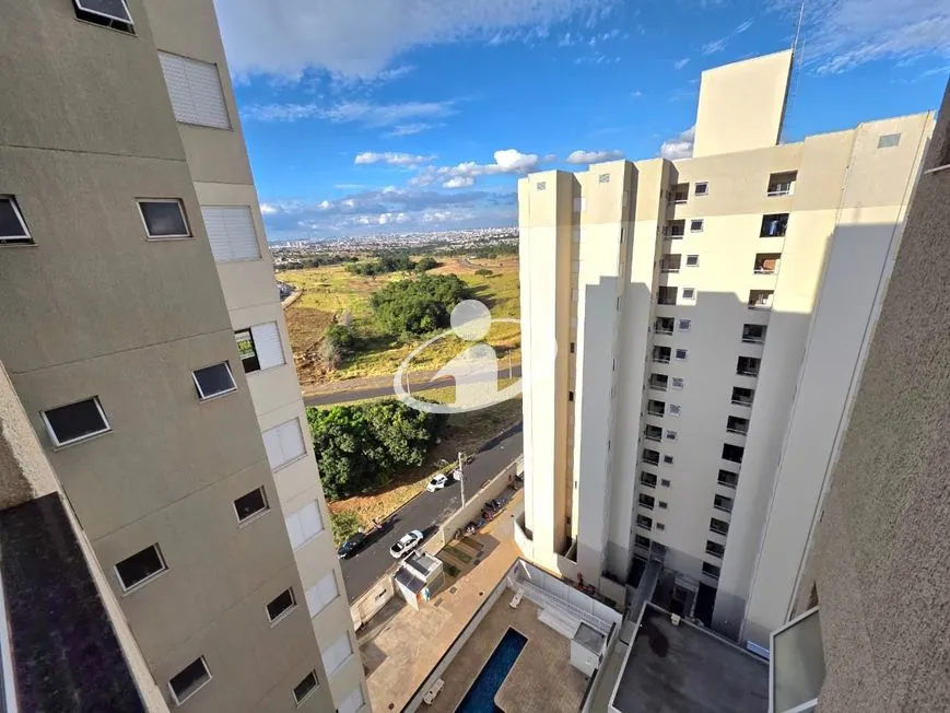 Imagem 10
