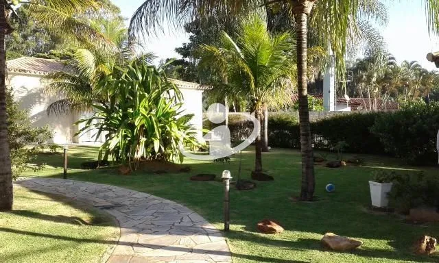Imagem 5