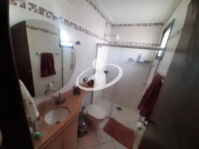 Imagem 26