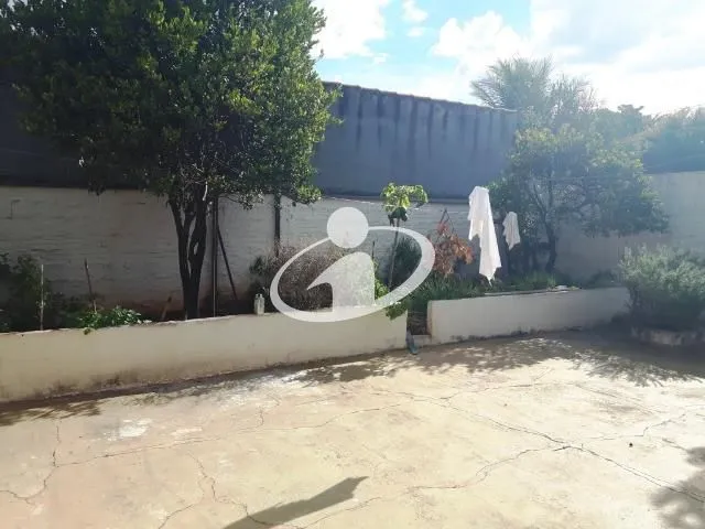 Imagem 7