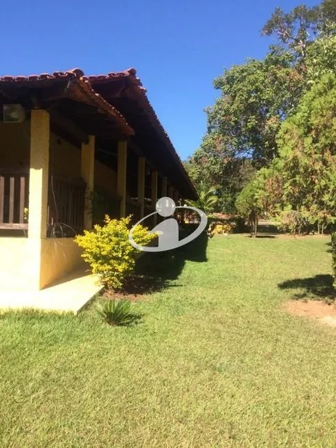Imagem 21