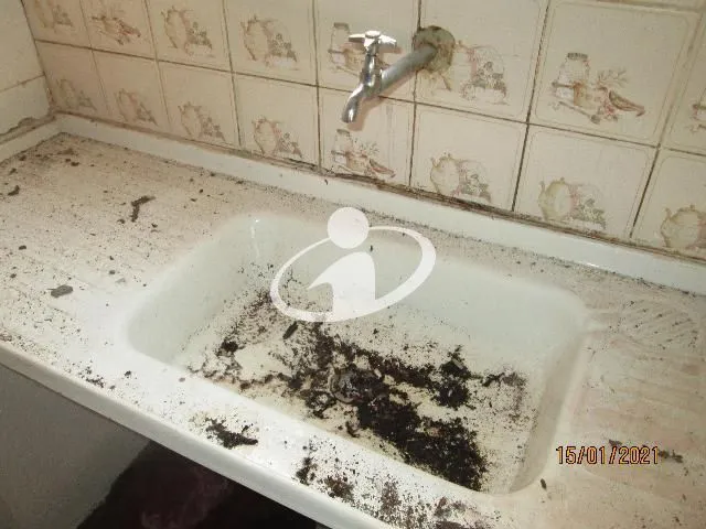 Imagem 19