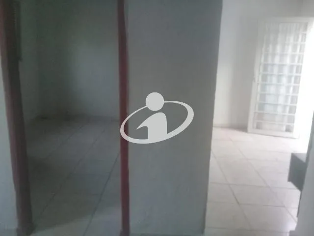Imagem 7