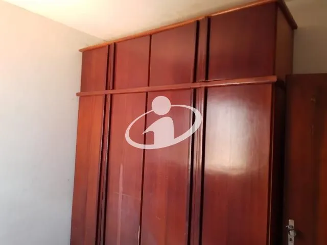 Imagem 7