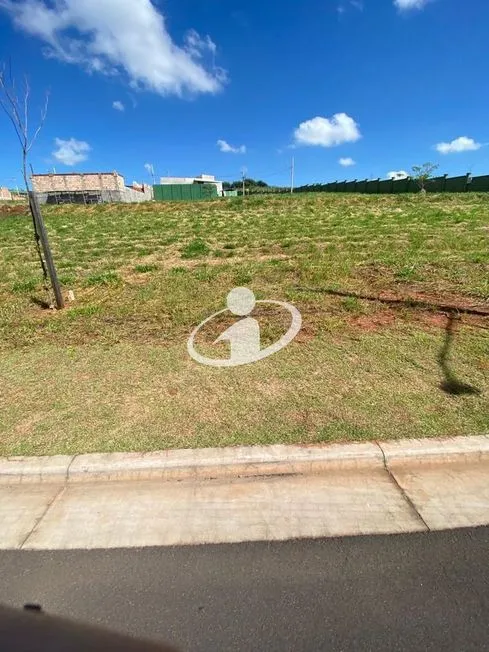 Imagem 7